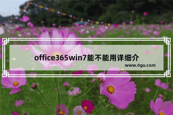 office365win7能不能用详细介绍