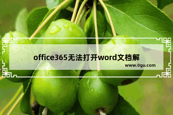 office365无法打开word文档解决方法