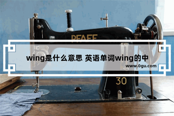 wing是什么意思 英语单词wing的中文意思是什么