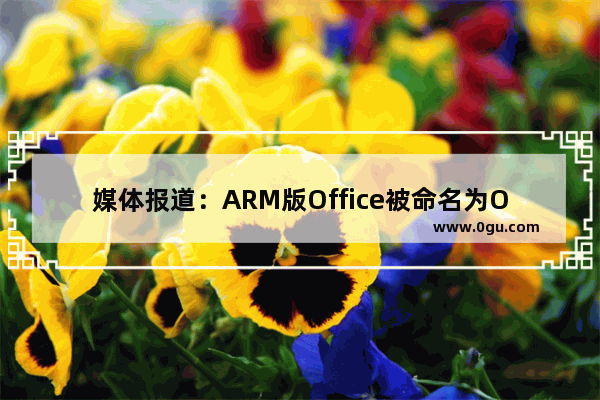 媒体报道：ARM版Office被命名为Office 2013 RT