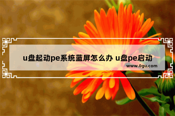 u盘起动pe系统蓝屏怎么办 u盘pe启动蓝屏