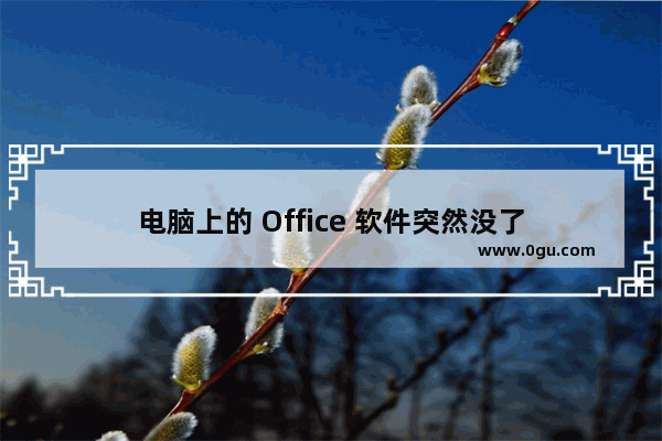 电脑上的 Office 软件突然没了