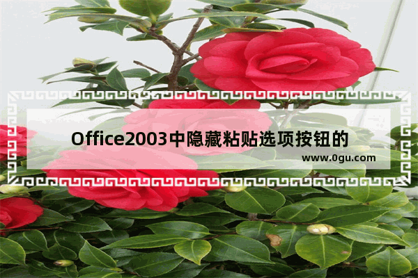 Office2003中隐藏粘贴选项按钮的相关操作教程