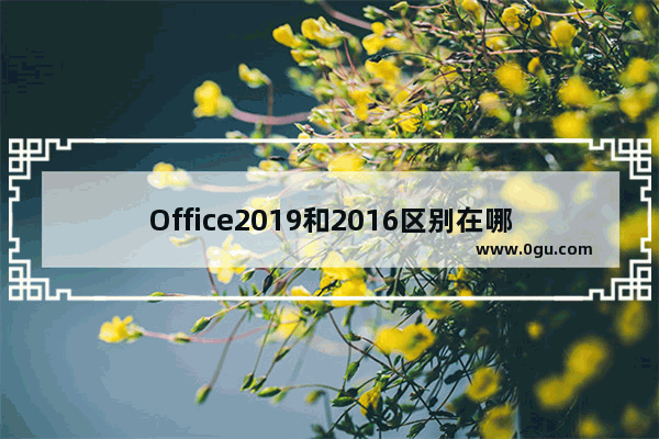 Office2019和2016区别在哪