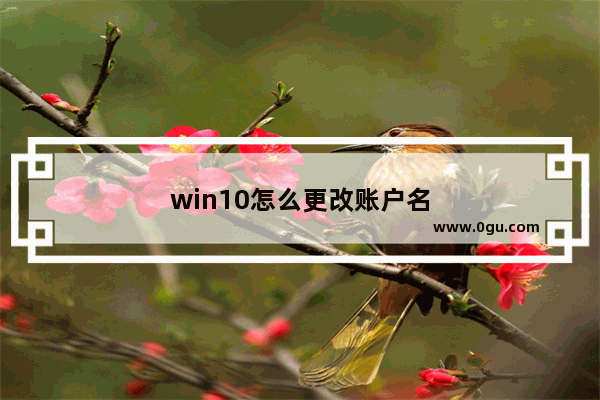 win10怎么更改账户名