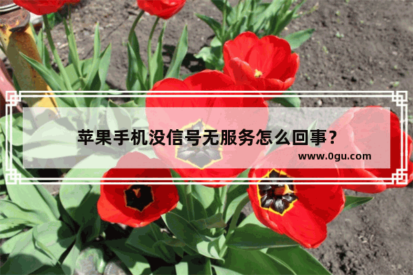 苹果手机没信号无服务怎么回事？