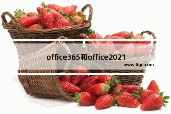 office365和office2021有何区别详细介绍