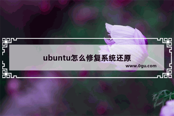 ubuntu怎么修复系统还原