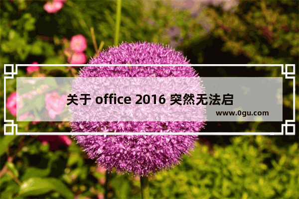 关于 office 2016 突然无法启动的解决方法