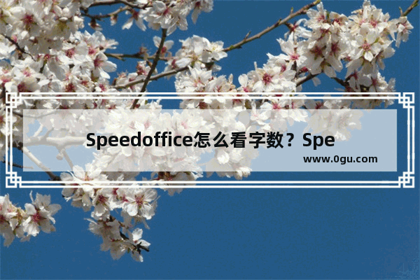 Speedoffice怎么看字数？Speedoffice查询文档字数教程