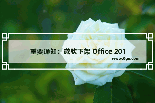 重要通知：微软下架 Office 2019许可计划，用户或无法永久使用Office