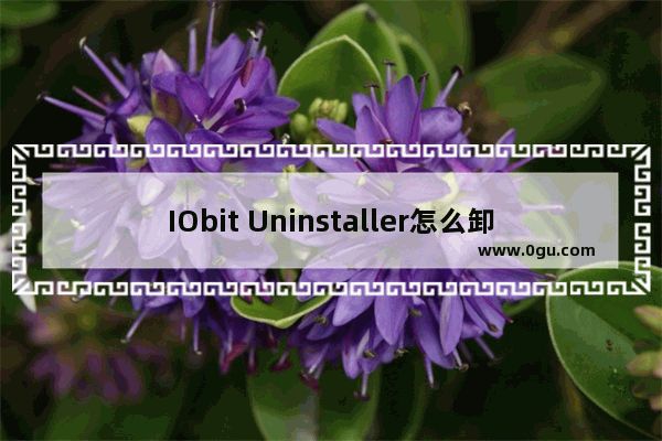 IObit Uninstaller怎么卸载浏览器插件 使用IObit Uninstaller删除插件的方法