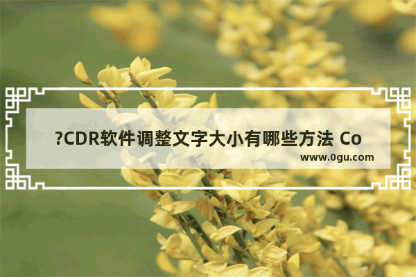 ?CDR软件调整文字大小有哪些方法 CorelDRAW中修改字体大小的方法教程