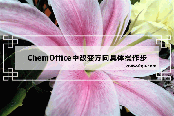 ChemOffice中改变方向具体操作步骤