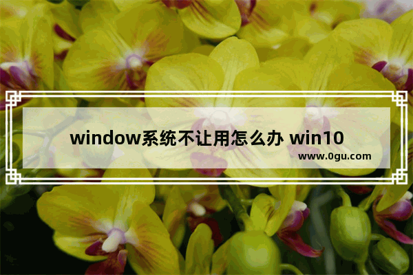 window系统不让用怎么办 win10不让用了