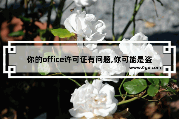 你的office许可证有问题,你可能是盗版软件的受害者怎么办？