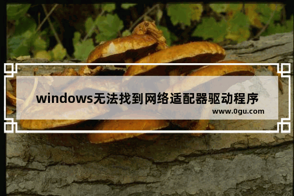 windows无法找到网络适配器驱动程序