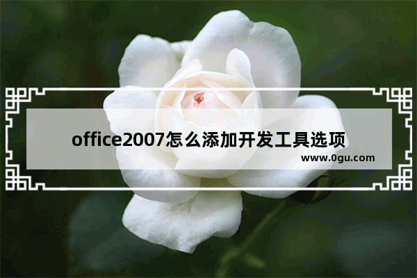 office2007怎么添加开发工具选项 office2007添加开发工具选项的方法