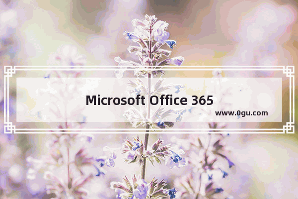 Microsoft Office 365年费是多少钱？