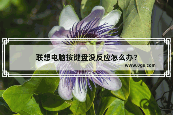 联想电脑按键盘没反应怎么办？