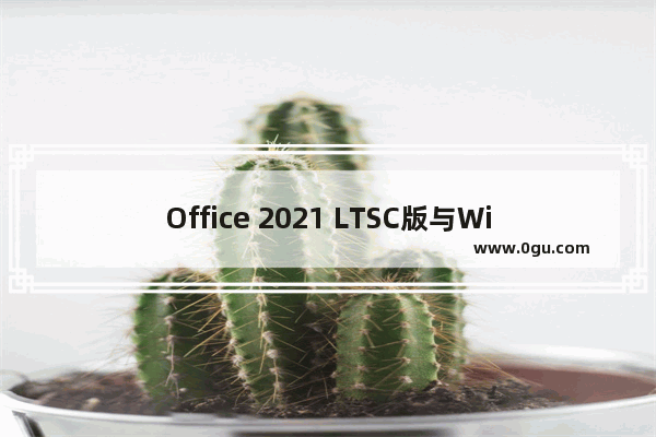 Office 2021 LTSC版与Win11同步上市 永久使用 不用更新