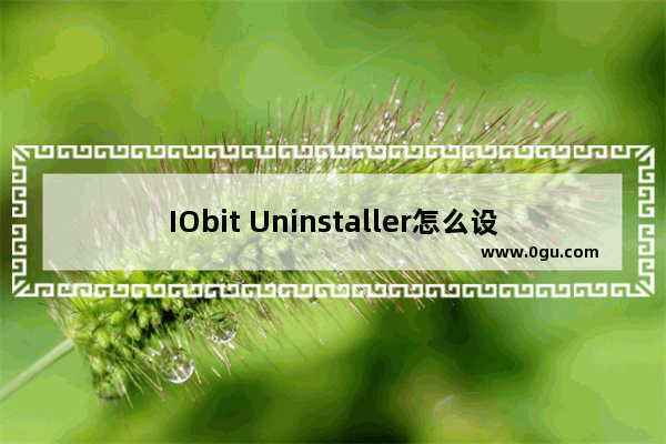 IObit Uninstaller怎么设置中文 IObit Uninstaller设置中文的方法