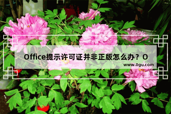 Office提示许可证并非正版怎么办？Office提示不是正版的解决方法