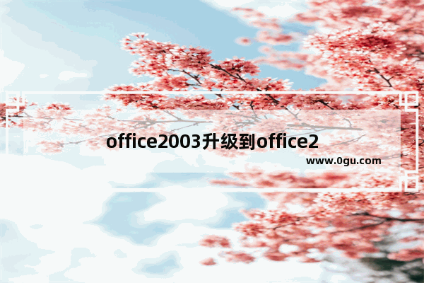 office2003升级到office2010的方法