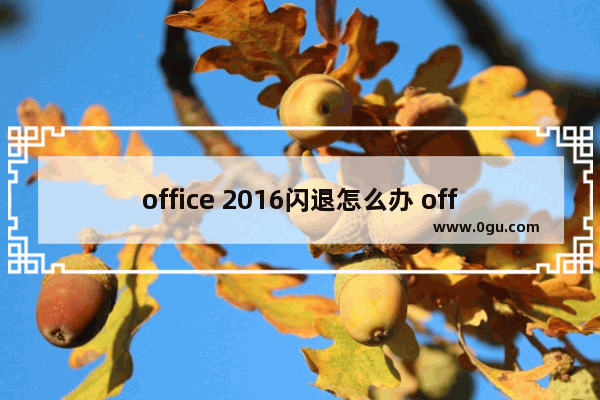 office 2016闪退怎么办 office 2016打开后闪退的解决办法