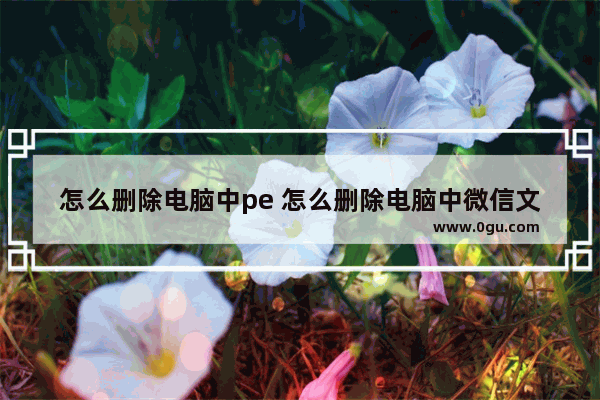 怎么删除电脑中pe 怎么删除电脑中微信文件