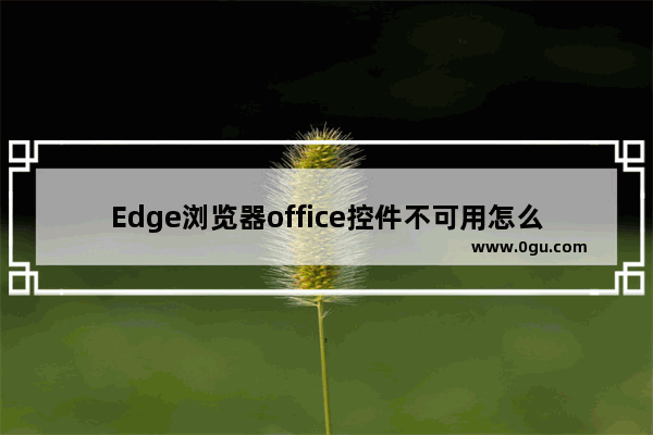 Edge浏览器office控件不可用怎么解决？