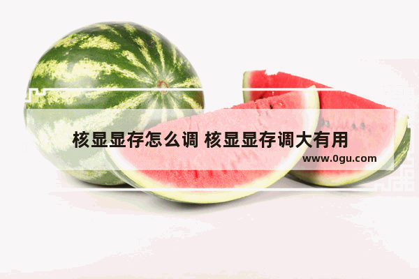 核显显存怎么调 核显显存调大有用