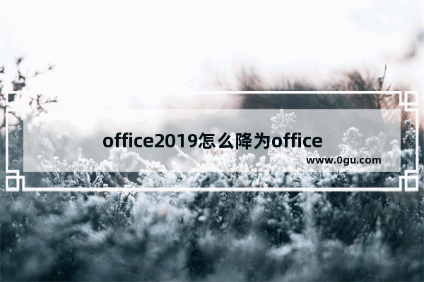 office2019怎么降为office2016版本？