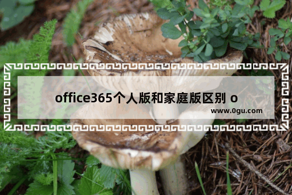 office365个人版和家庭版区别 office365个人版和家庭版哪个好