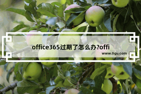 office365过期了怎么办?office365过期了处理方法