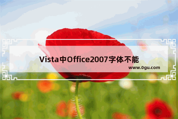 Vista中Office2007字体不能正常显示