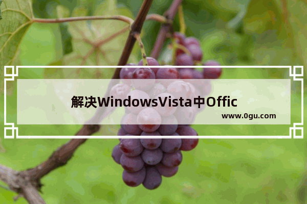 解决WindowsVista中Office反常字体问题