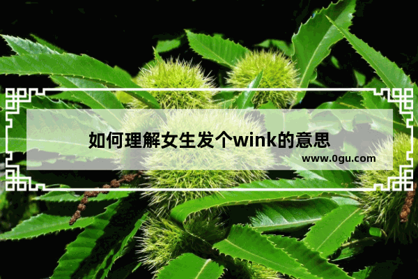 如何理解女生发个wink的意思