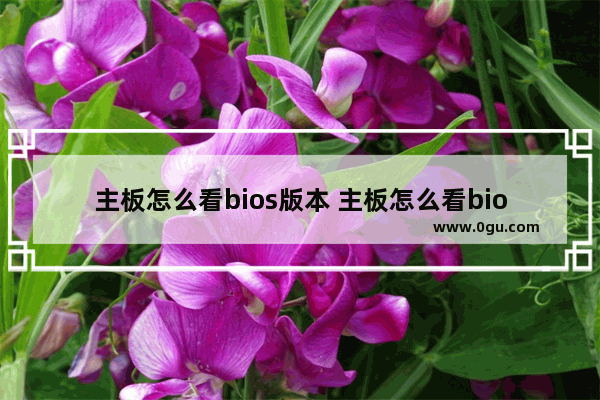 主板怎么看bios版本 主板怎么看bios版本型号