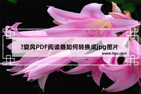 ?旋风PDF阅读器如何转换成jpg图片 ?旋风PDF阅读器将PDF文档转换成jpg图片的方法