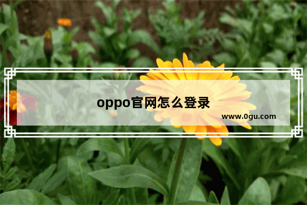 oppo官网怎么登录