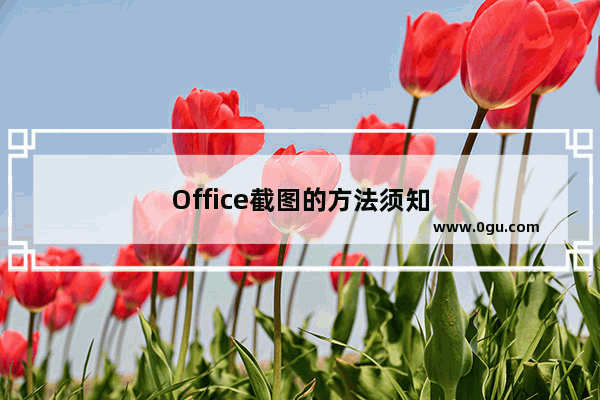 Office截图的方法须知