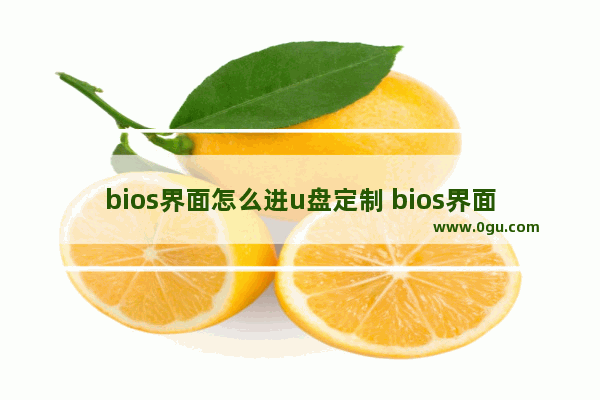 bios界面怎么进u盘定制 bios界面u盘启动方法