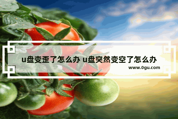 u盘变歪了怎么办 u盘突然变空了怎么办