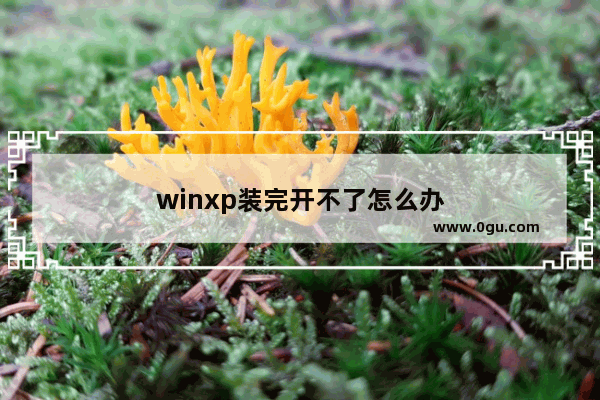 winxp装完开不了怎么办