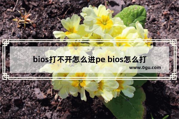 bios打不开怎么进pe bios怎么打驱动