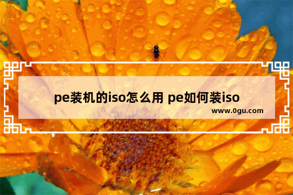 pe装机的iso怎么用 pe如何装iso