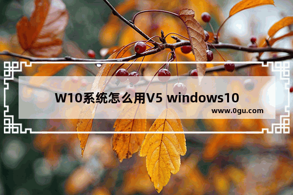 W10系统怎么用V5 windows10怎么装五笔输入法