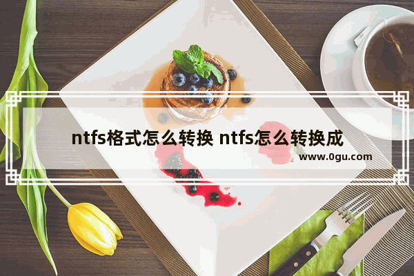 ntfs格式怎么转换 ntfs怎么转换成fat32