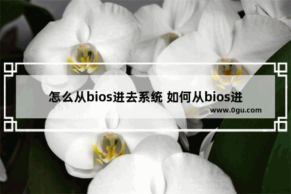 怎么从bios进去系统 如何从bios进入windows